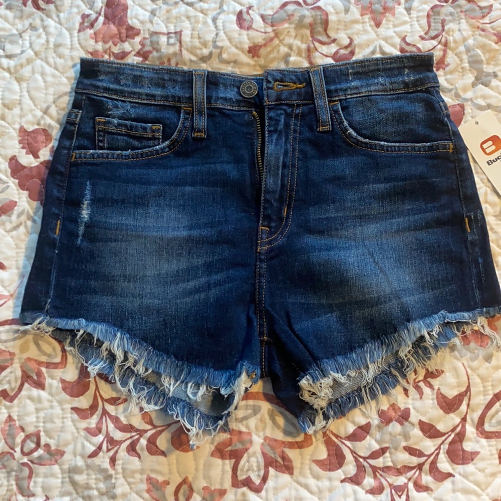Size 24 High Rise Shorts
